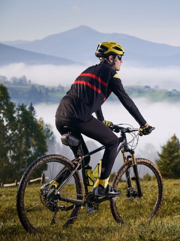World Bicycle Day 2024: 8 best Indian cities for cycling