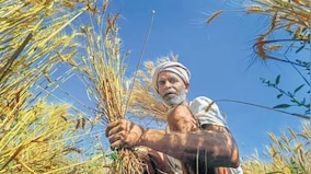 Climate emergency in India: Impact of heatwave on agriculture and inflation